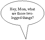 Oval Callout: Hey, Mom, what are those two- legged things?
